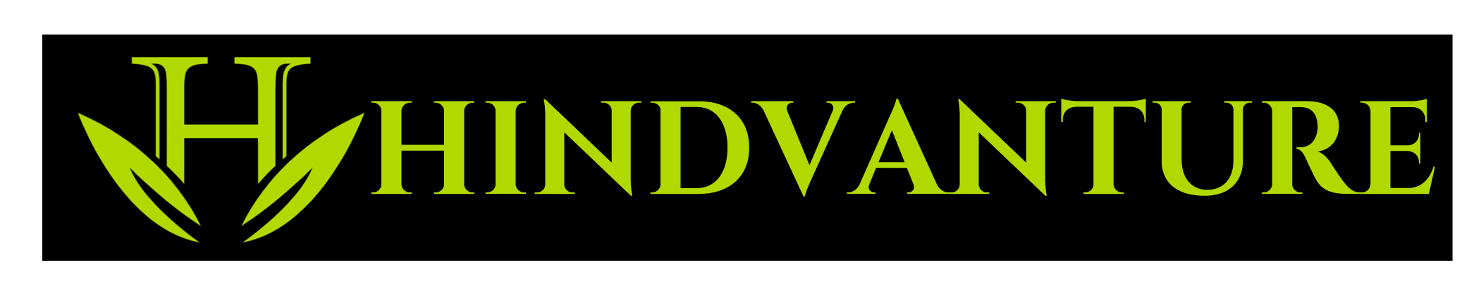 hindvanture.com
